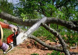 Lawn Renovation and Restoration in Bear Creek, FL